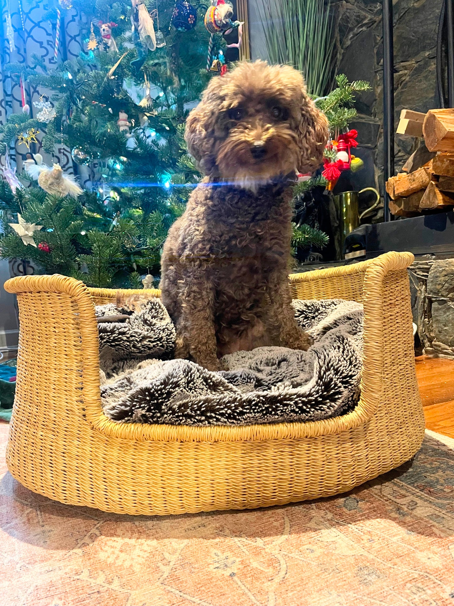 Small Bolga Pet Bed