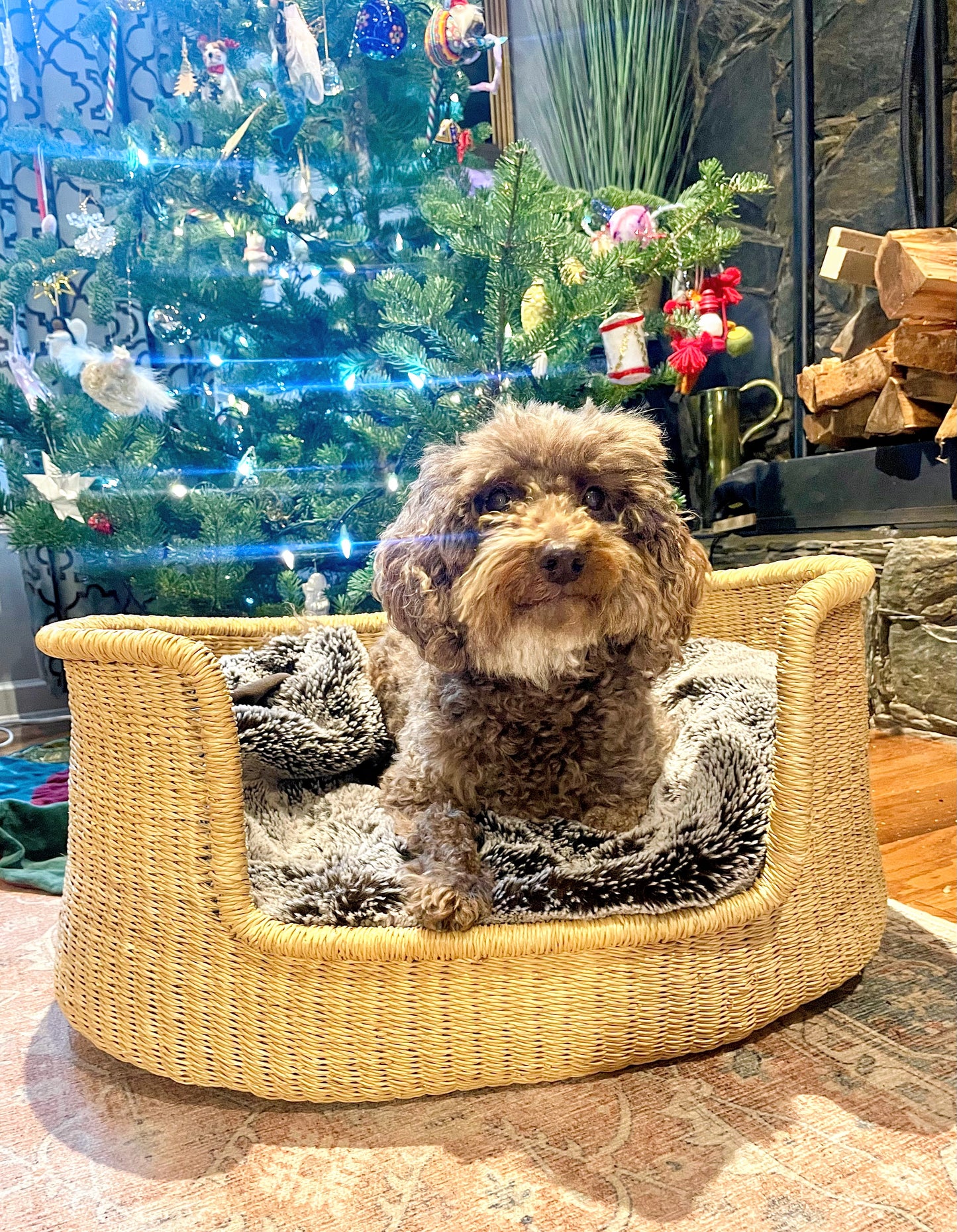 Small Bolga Pet Bed