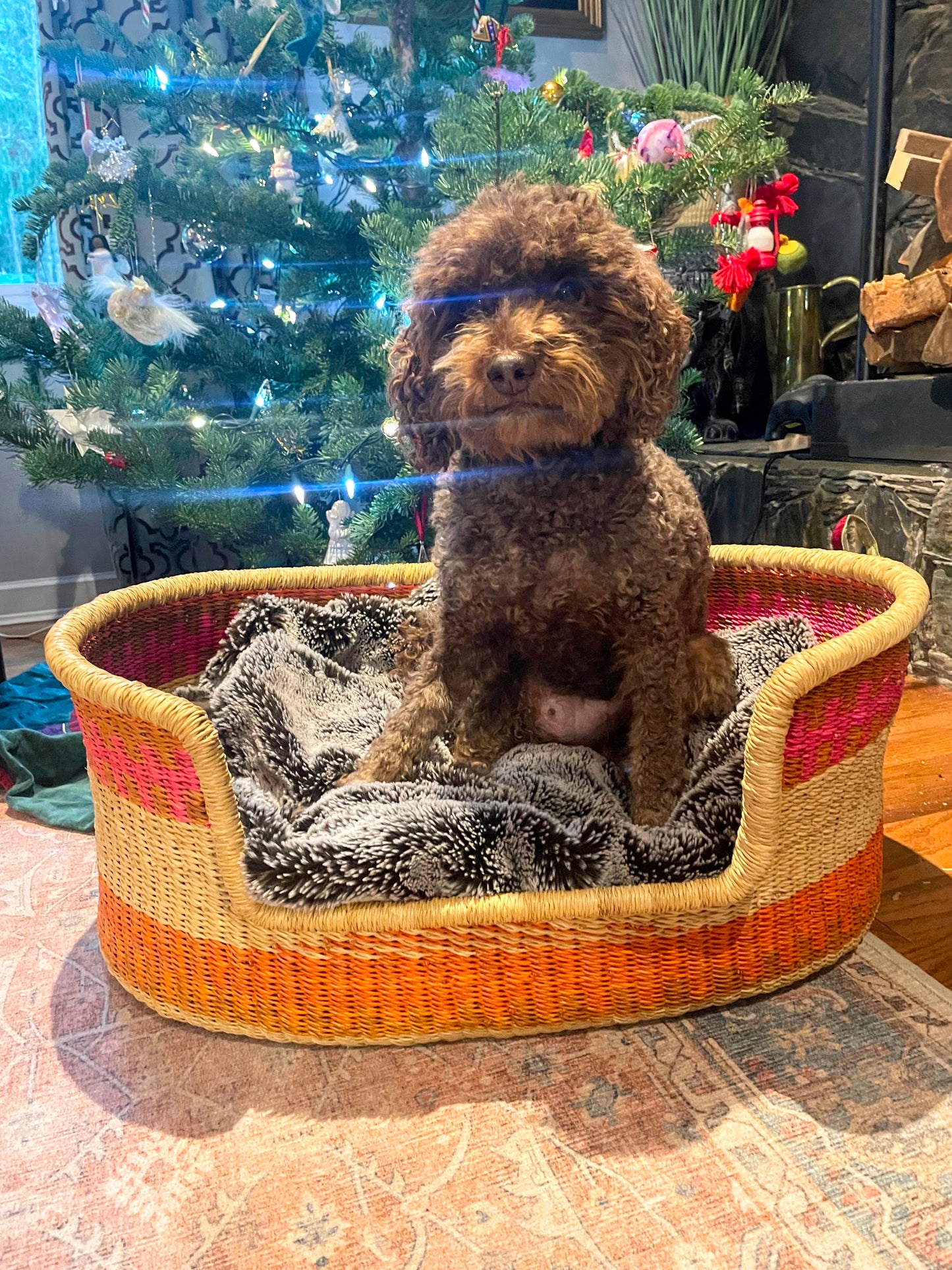 Small Bolga Pet Bed