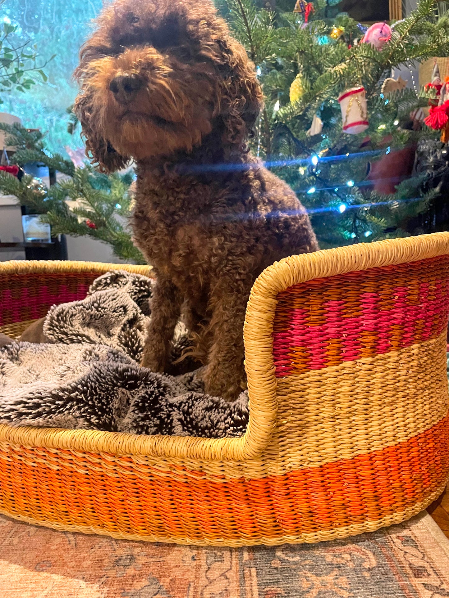 Small Bolga Pet Bed