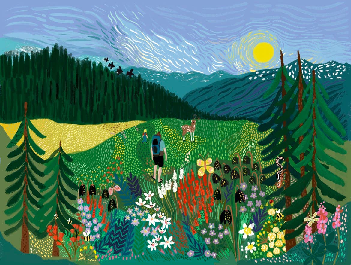 Olympic National Park Art Print