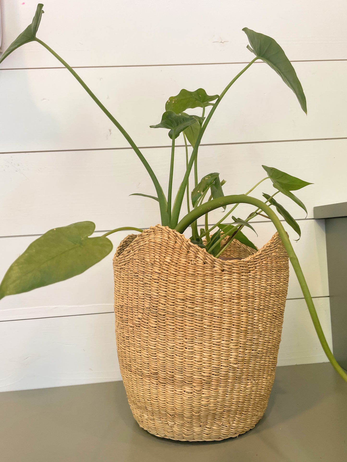 Small Planter Basket