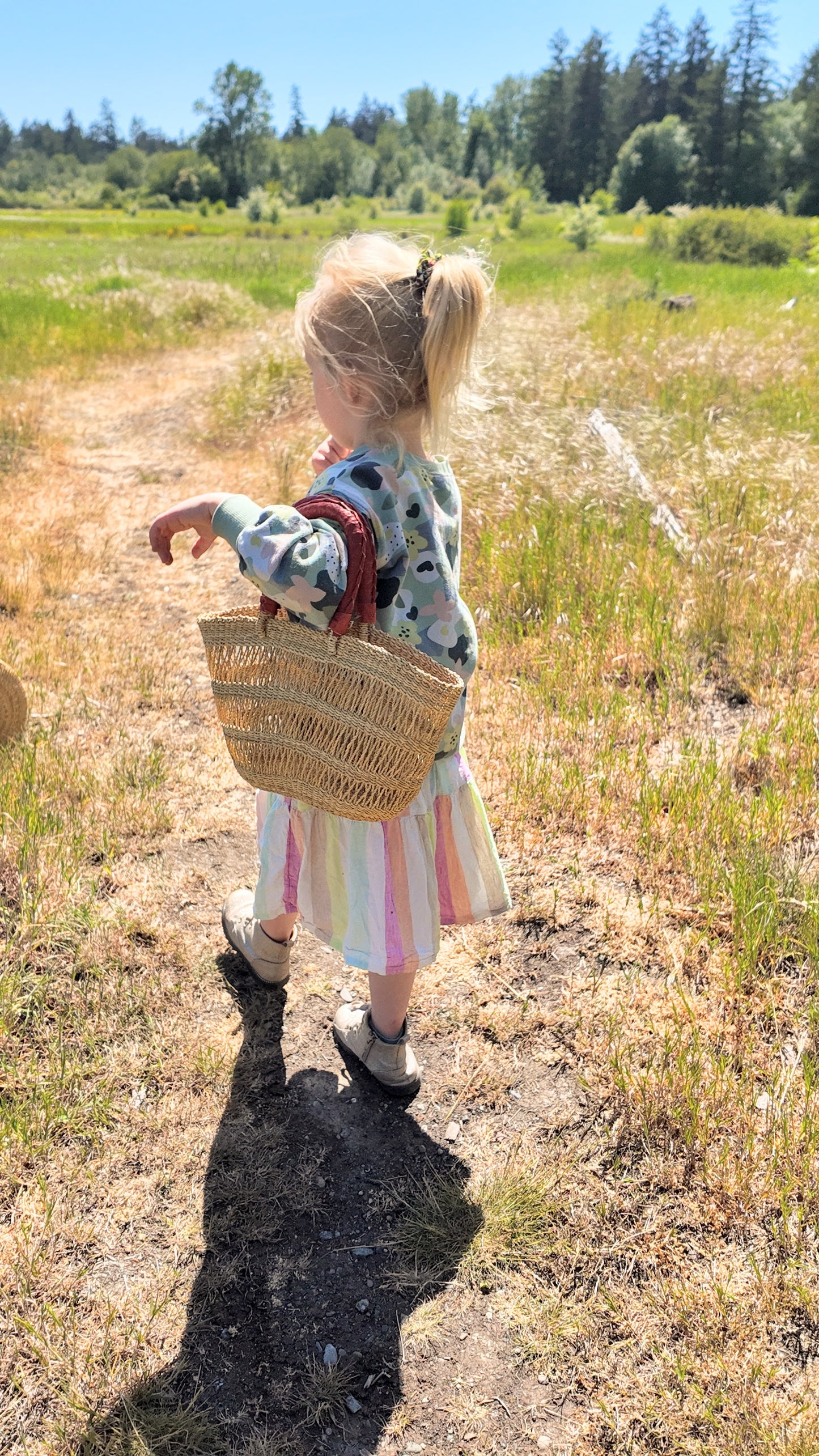 Small Bolga Shopper Basket